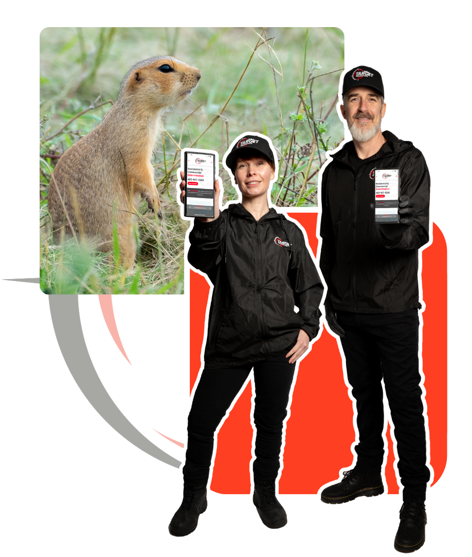 A man and a boy holding cell phones in front of a picture of a squirrel