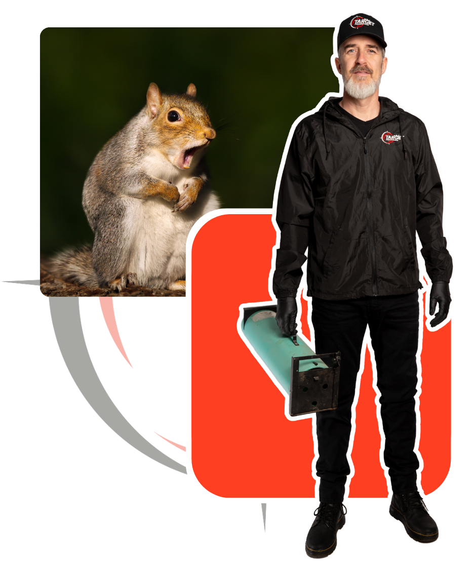 A man is standing next to a squirrel and a animal trap