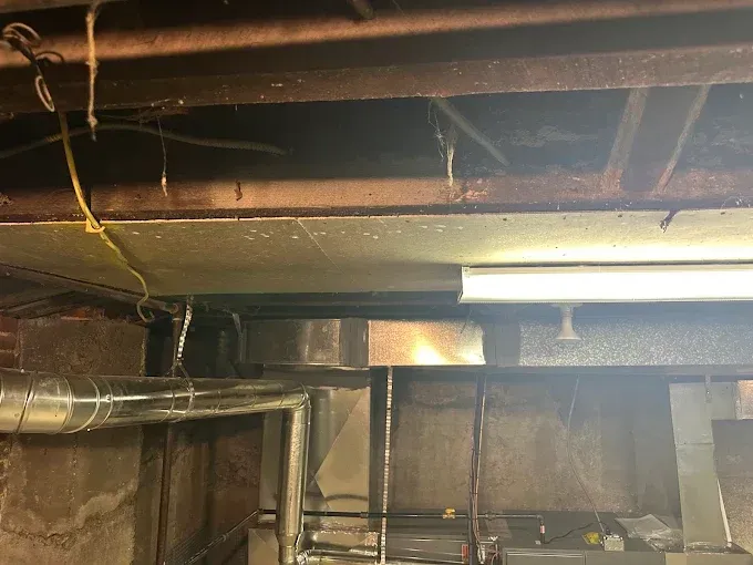 Basement ceiling with exposed beams, ductwork, and fluorescent light.