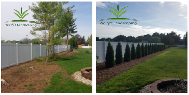 We can handle all of your tree trimming needs near Winston-Salem and Clemmons