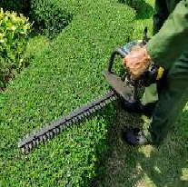 Precision Pruning