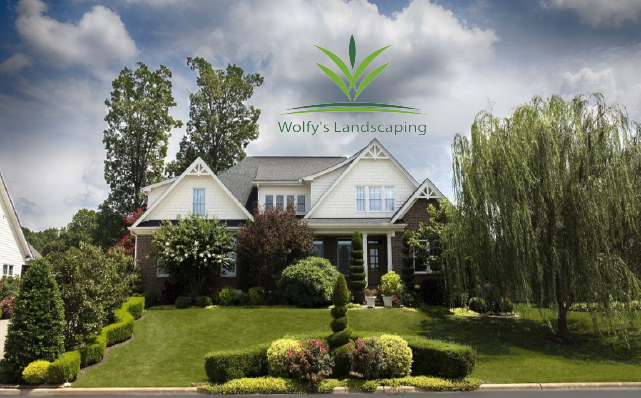 Wolfy's Landscaping is here for your regular lawn care maintenance. We mow, weed eat and blow your property weekly or bi-weekly.