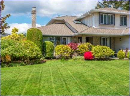 Wolfy's Landscaping can remove overgrown, dead or dying branches and get your landscape look its best.