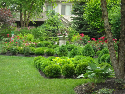 Perfectly Shaped and Pruned Landscaped