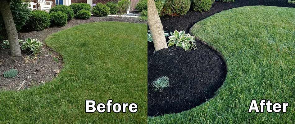 Mulching job with dark mulch