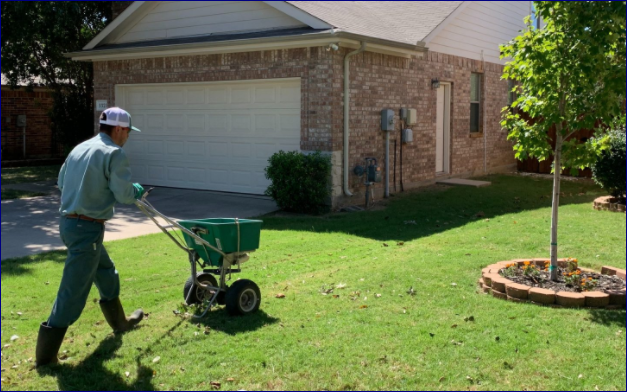 Seeding lawns in your area to assist with your grass growing goals.