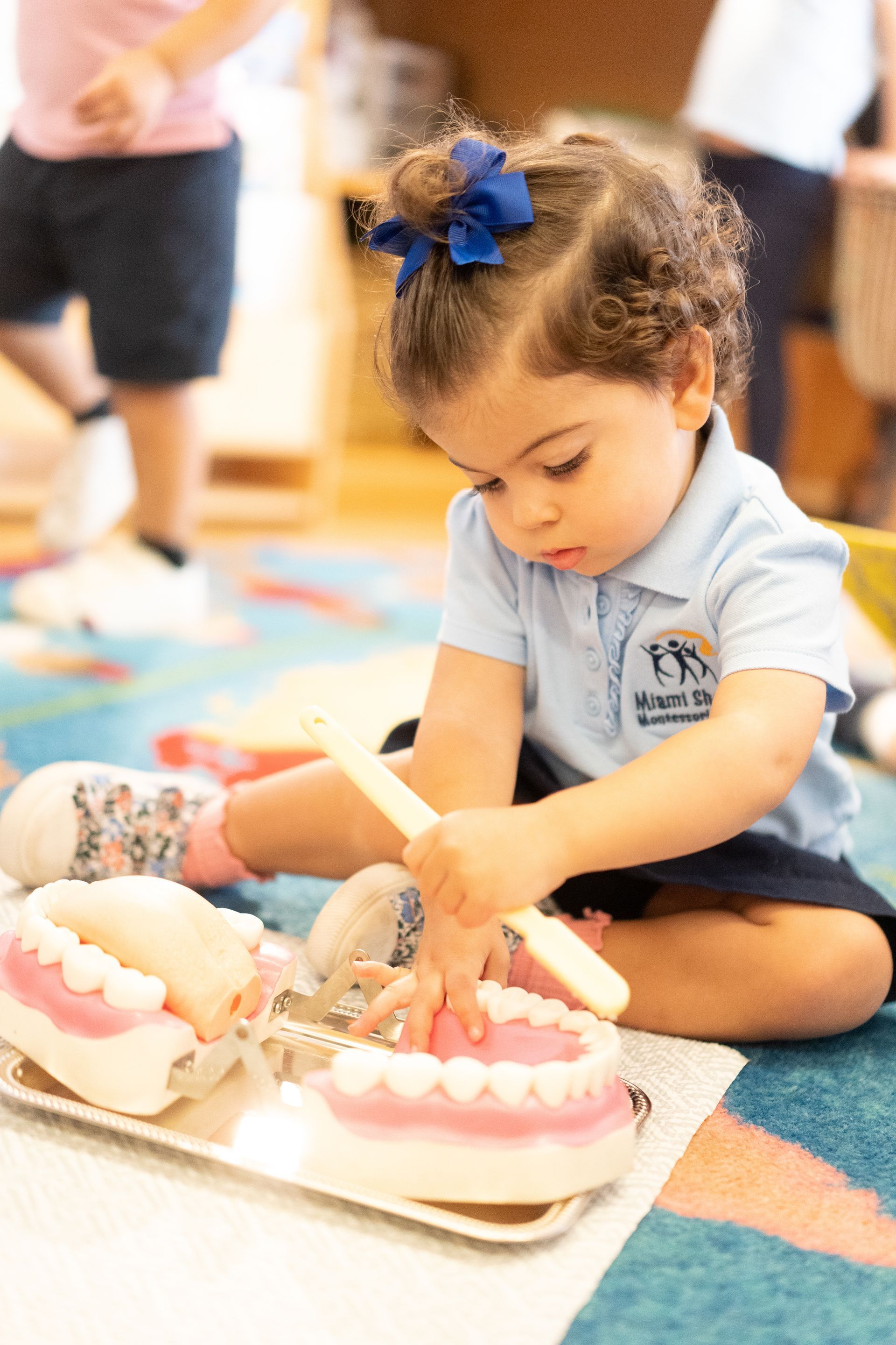 Montessori toddler child cleaning a dental model