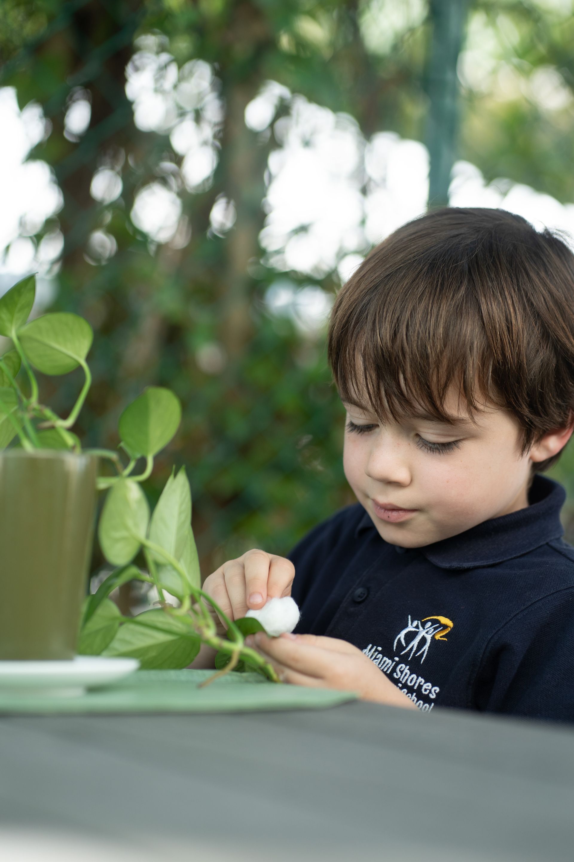 Montessori child cleaning the leaf of a plant
