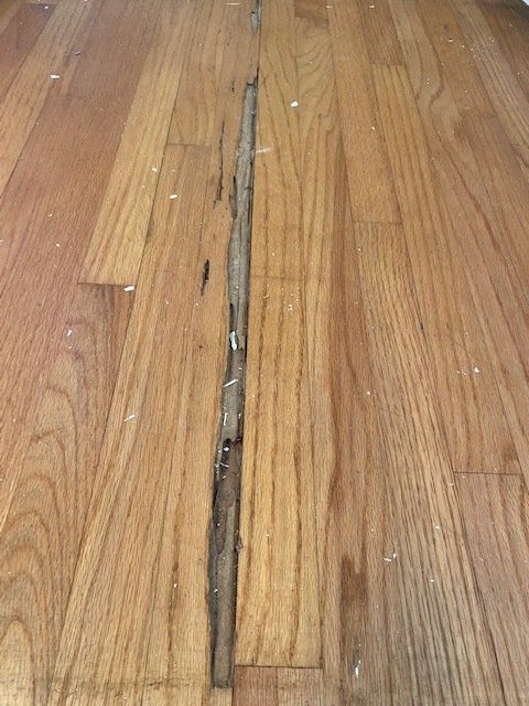 hardwood floor repairing N County sd
