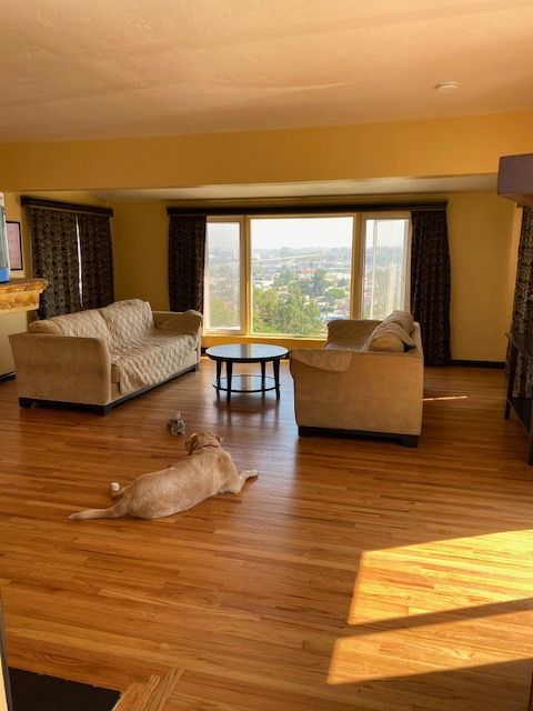 sand refinish wood floors hardwood northcounty 