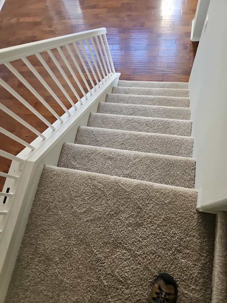 northcounty diego ca carpet top view