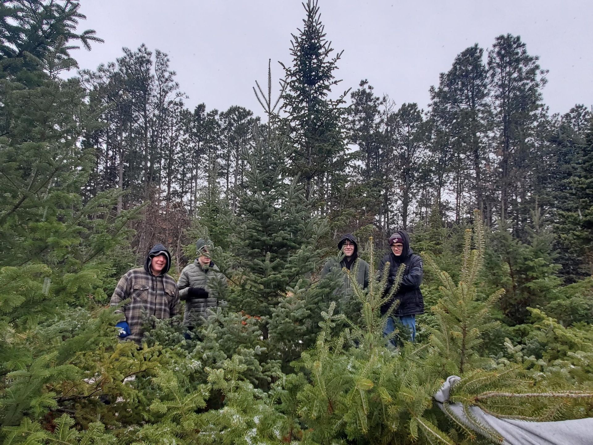 A group of people are standing in a forest surrounded by trees.