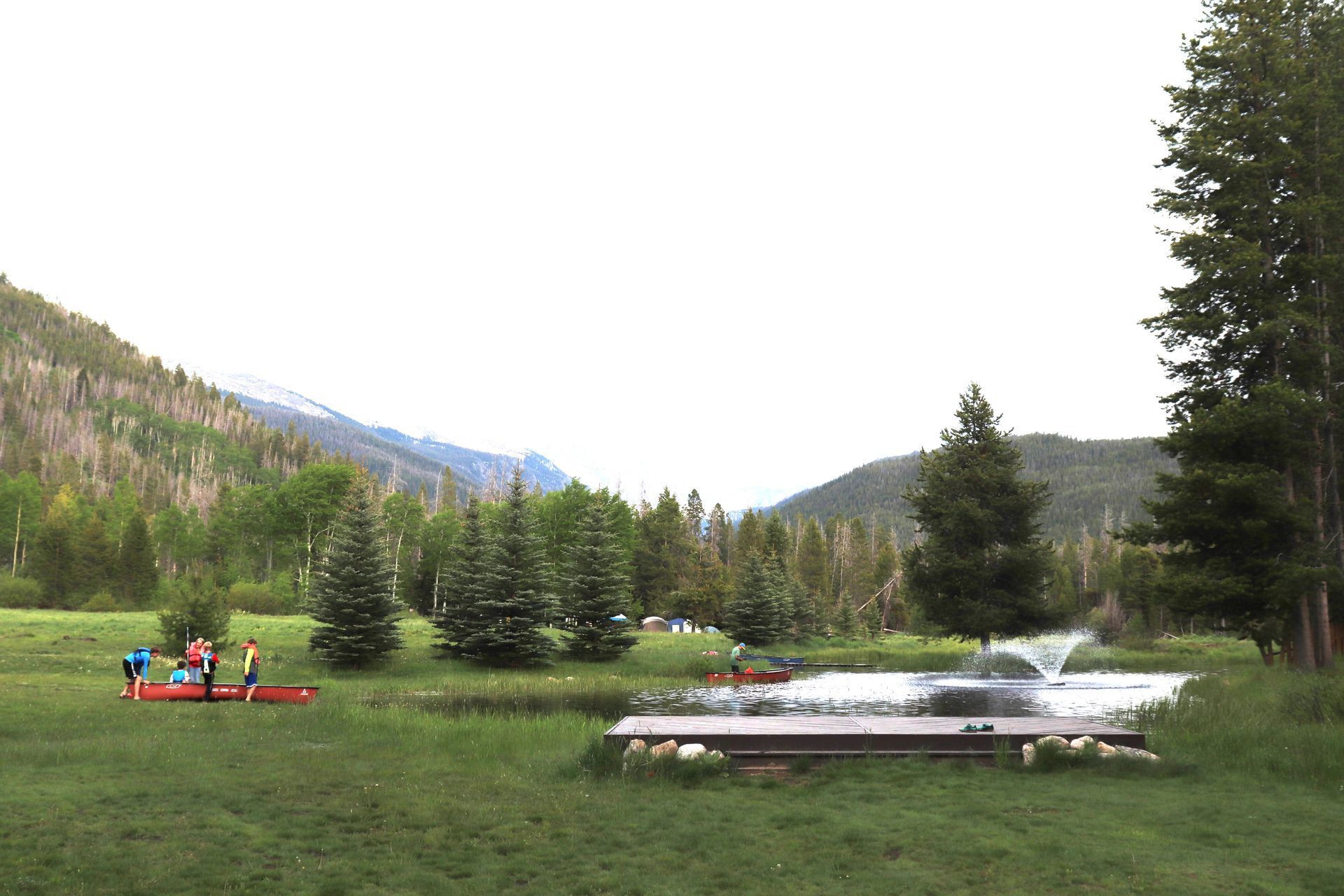 A lush green field with mountains in the background