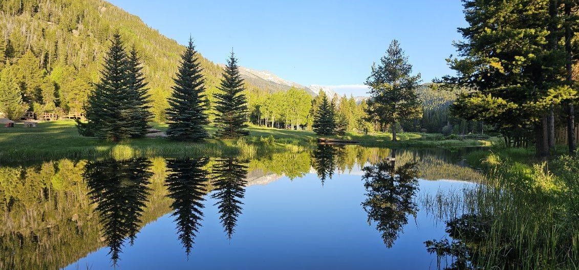 A lake in the middle of a forest with trees reflected in the water.