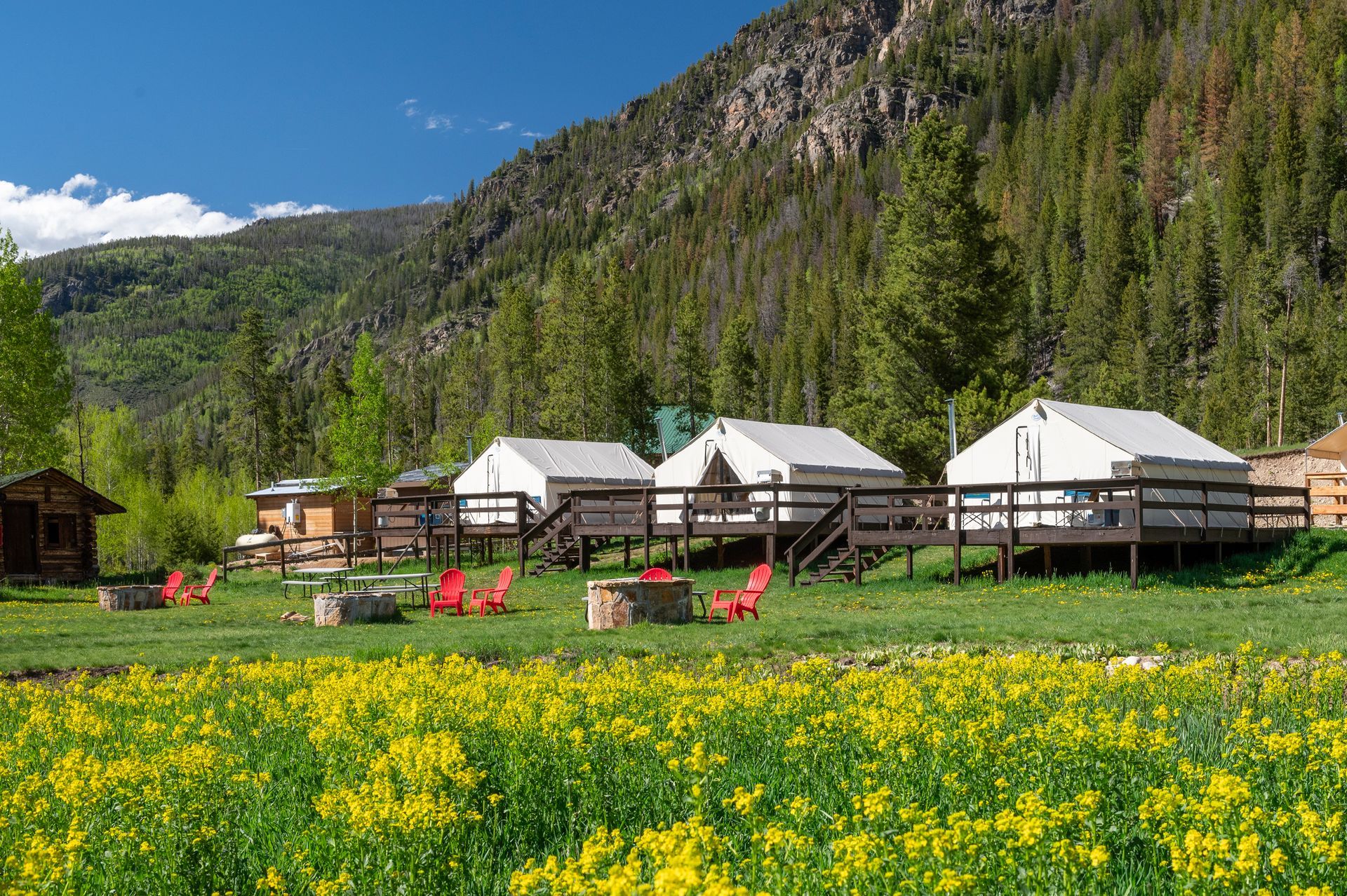 A row of tents are sitting in a field with mountains in the background.