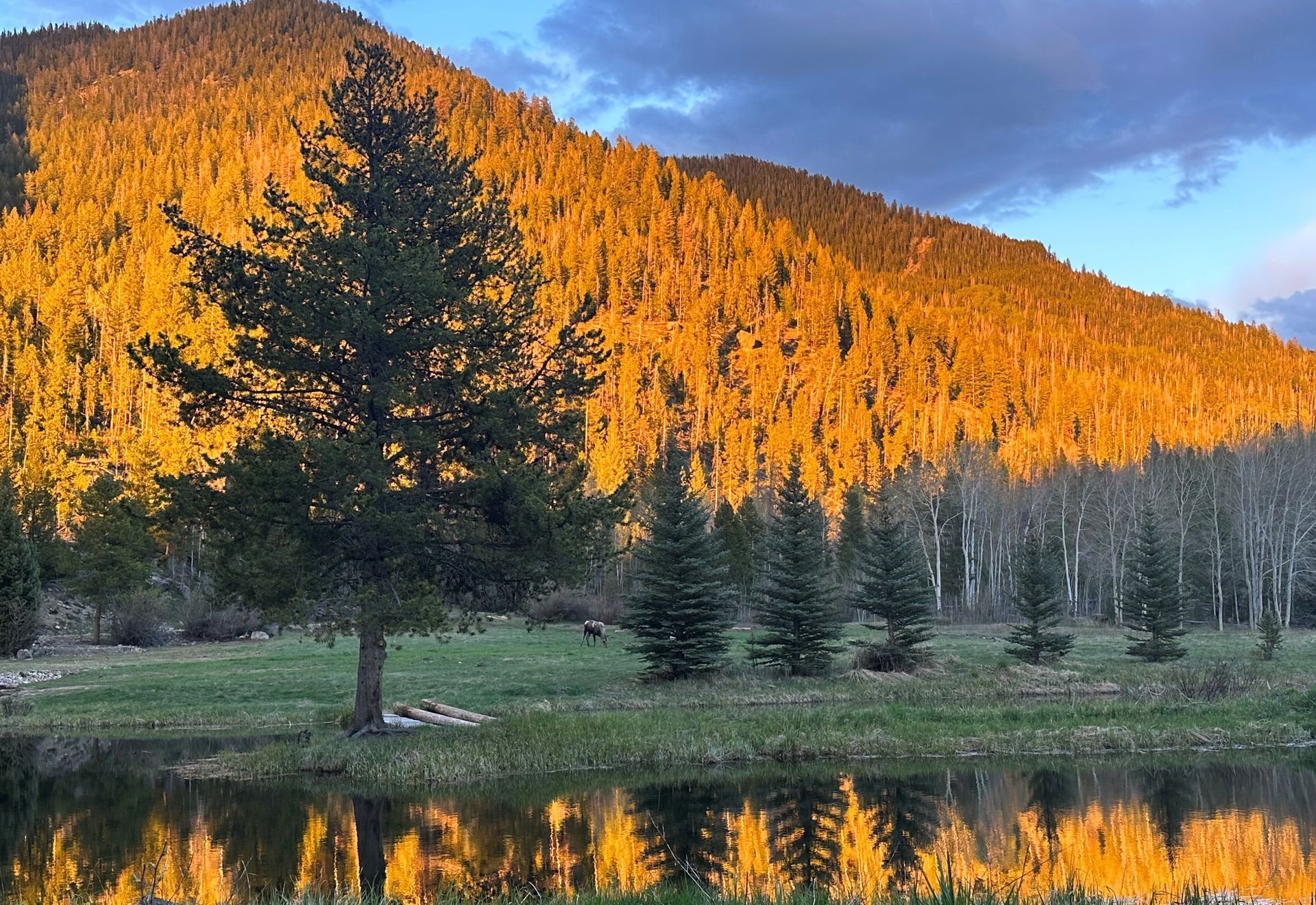 There is a lake in the foreground and a mountain in the background.
