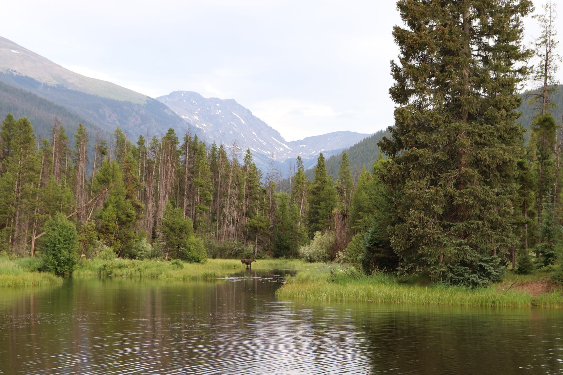 A lake in the middle of a forest with mountains in the background.