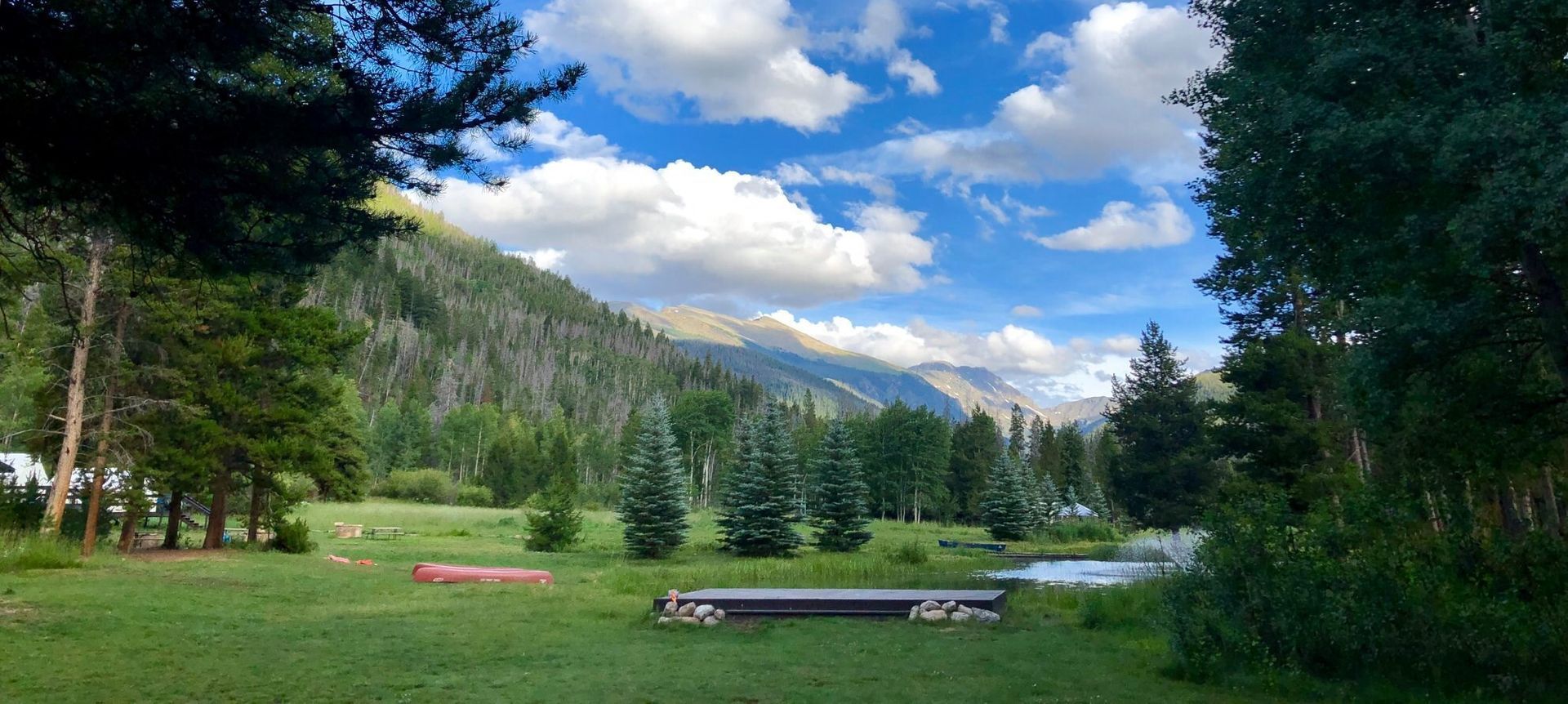 A grassy field with trees and mountains in the background.