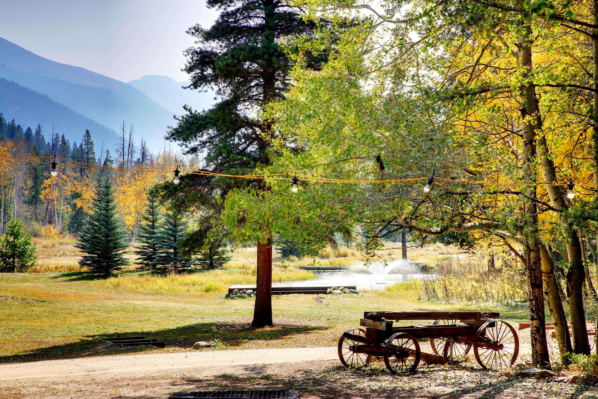 A picnic table in the middle of a forest with mountains in the background.