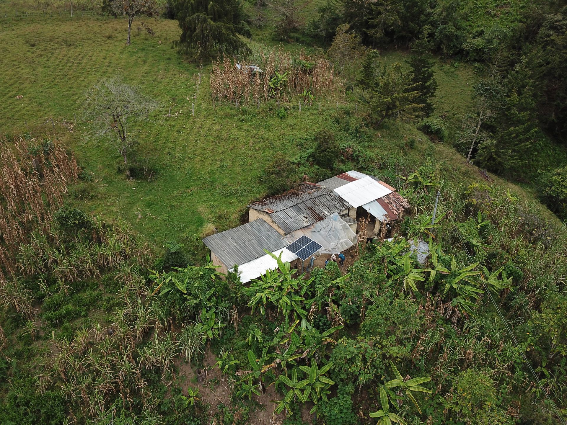 Una vista aérea de una pequeña casa en medio de un campo rodeado de árboles.