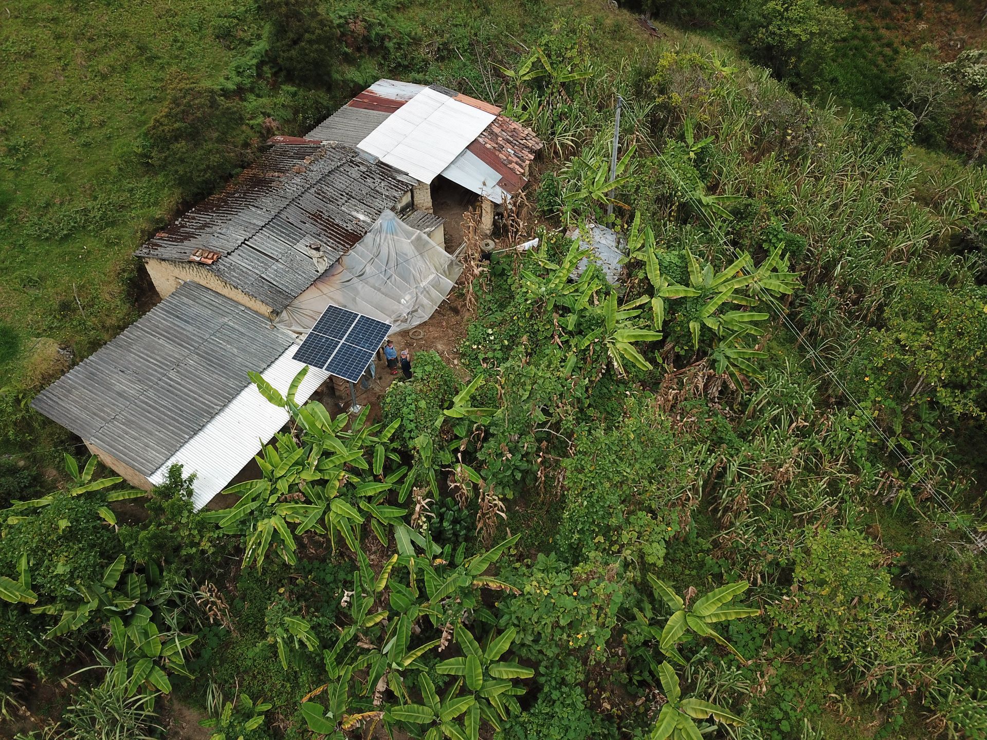 Una vista aérea de una casa rodeada de árboles y césped.