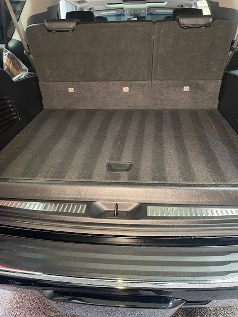 Yukon dog hair removed and carpet striped