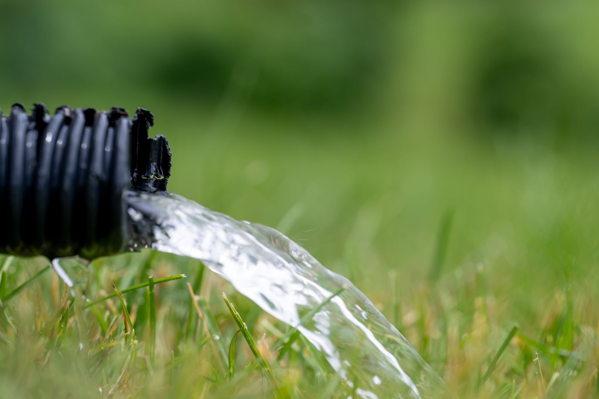 Water flowing from a pipe onto green grass outdoors.
