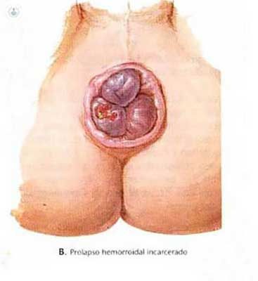 DRA. ALMA ROSA MEDINA FONG