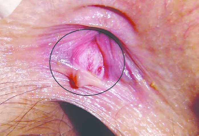 DRA. ALMA ROSA MEDINA FONG