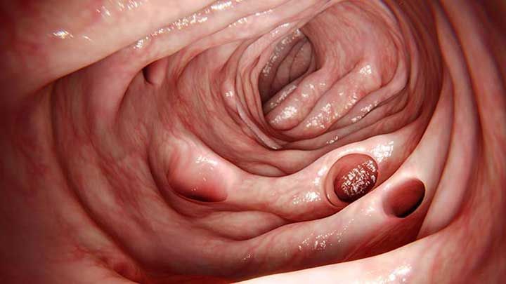 DRA. ALMA ROSA MEDINA FONG