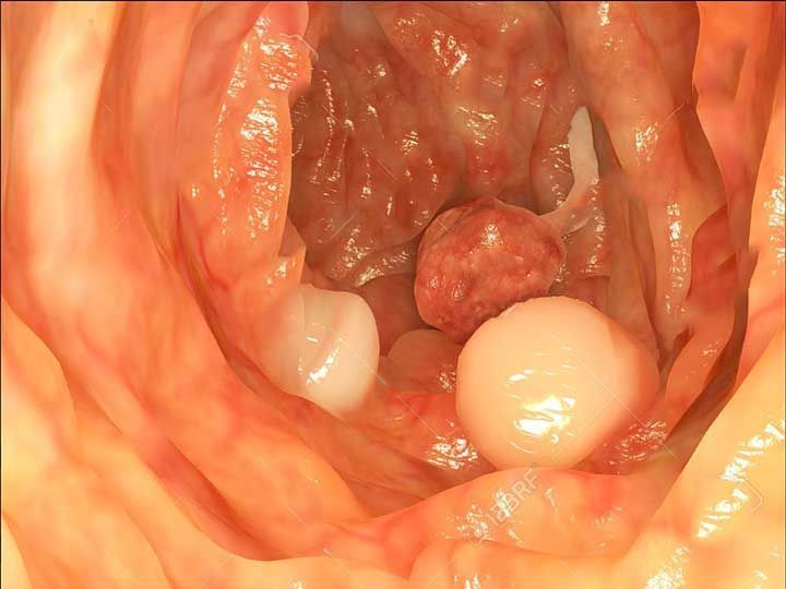 DRA. ALMA ROSA MEDINA FONG