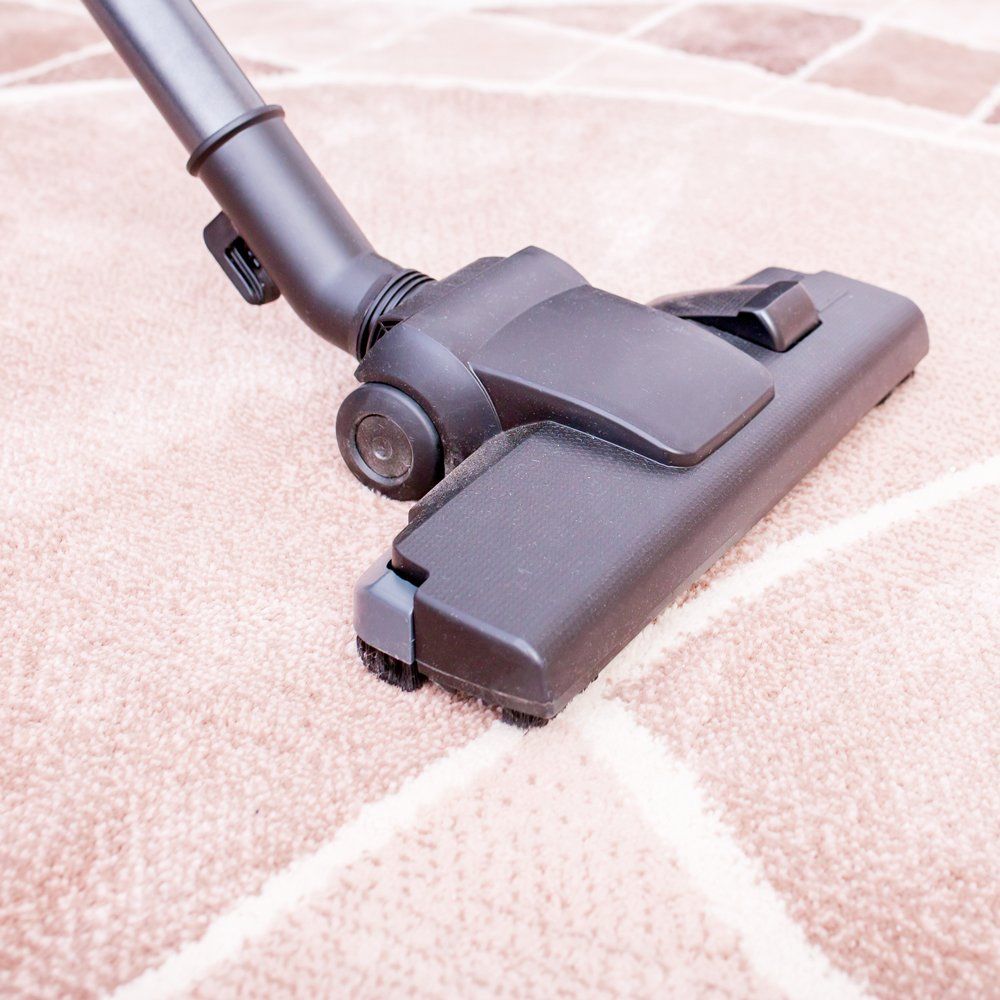 Carpet Cleaners in Port Stephens Dryology