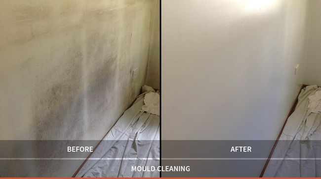 mould cleaning before and after