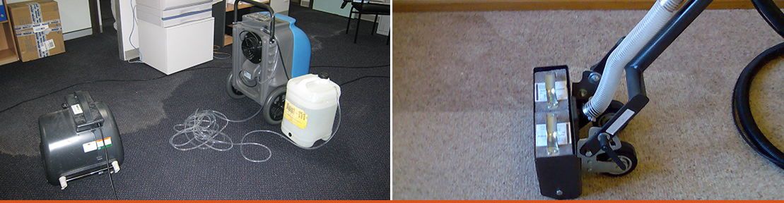 Carpet Cleaning—Flood Restoration in Newcastle, NSW