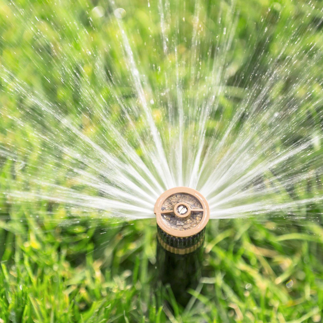 Automatic Sprinkler Watering Fresh Lawn — Ruffin, SC — Lane’s Well & Septic