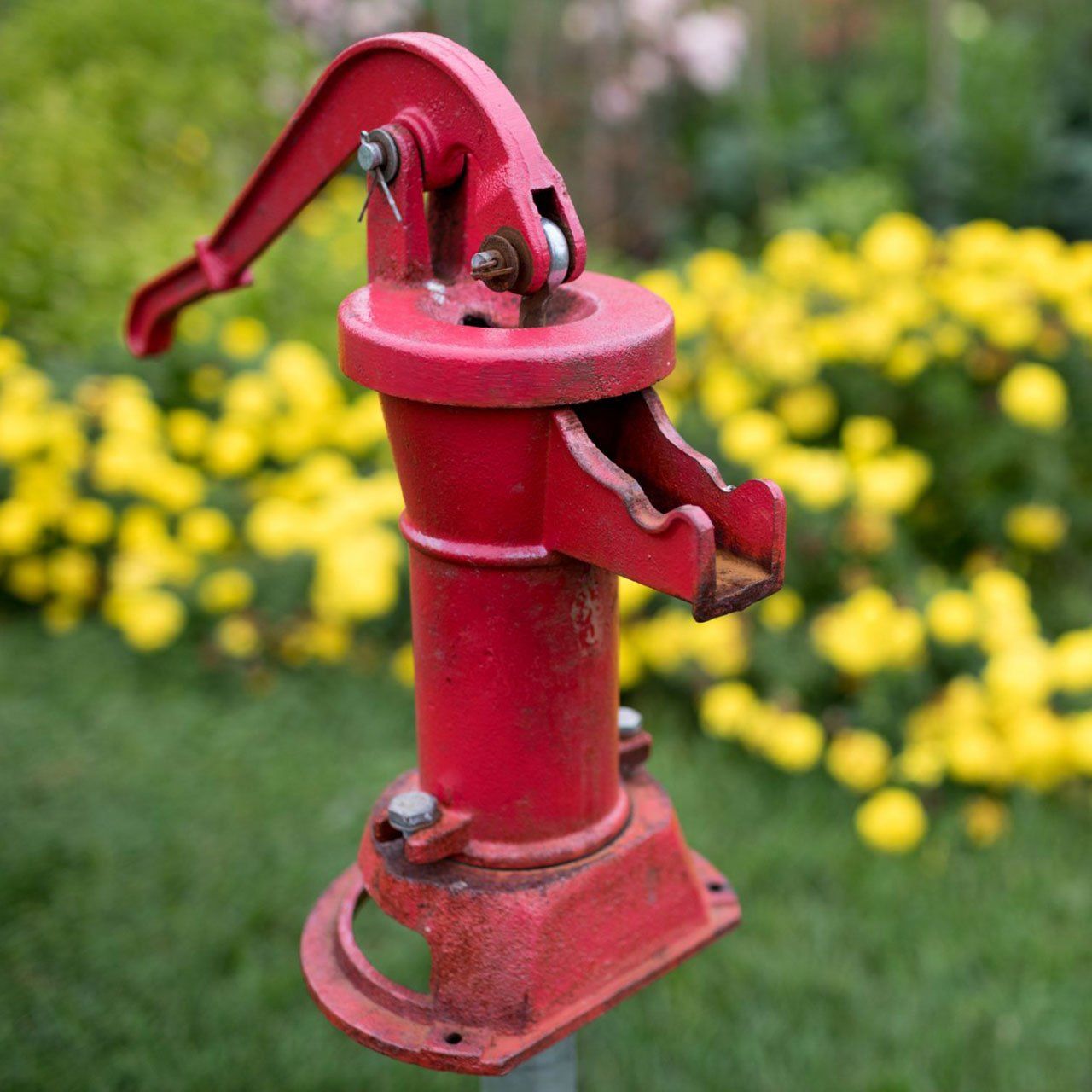 Water Pump in Flower Garden — Ruffin, SC — Lane’s Well & Septic