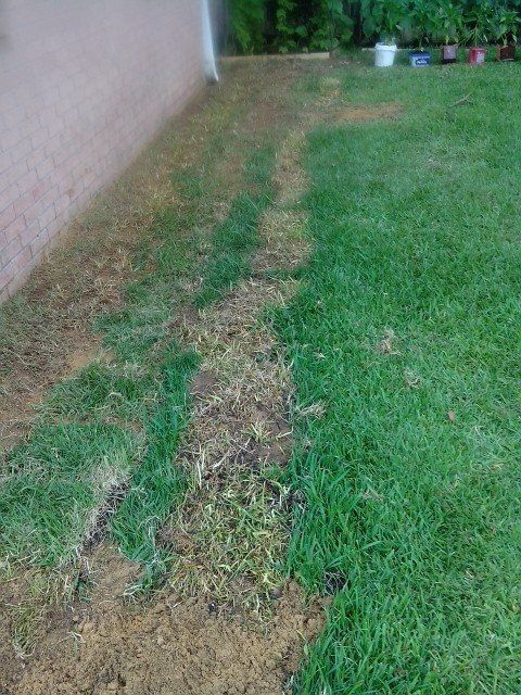 Completed Plumbing Line Installation Project in 