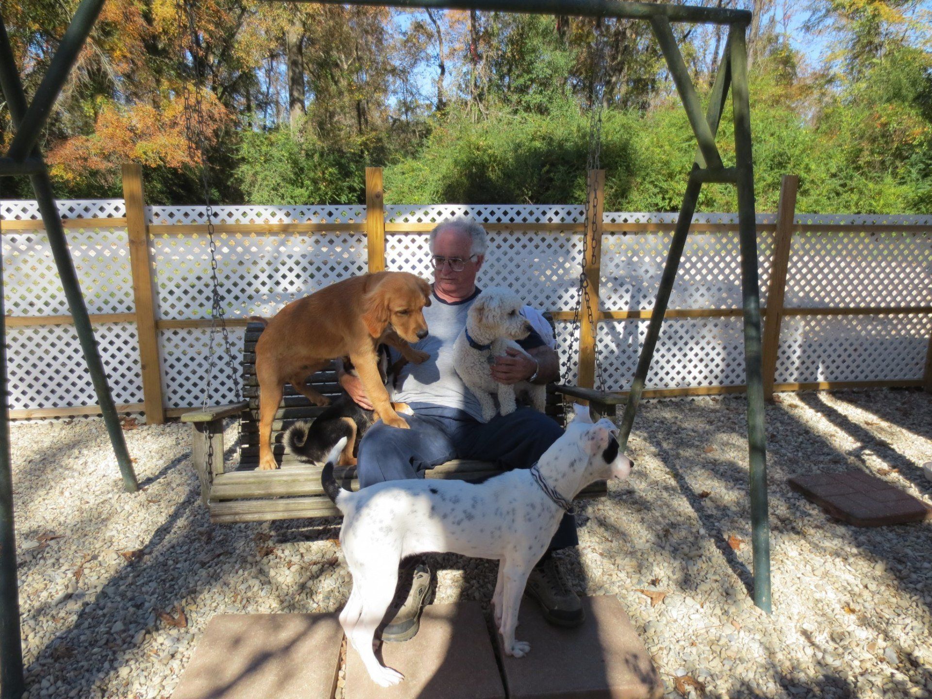 Pet Sitters Baton Rouge, LA Mom & Pops Dog Boarding