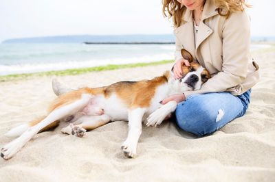 Nicole Bell RVT – Registered Veterinary Technician