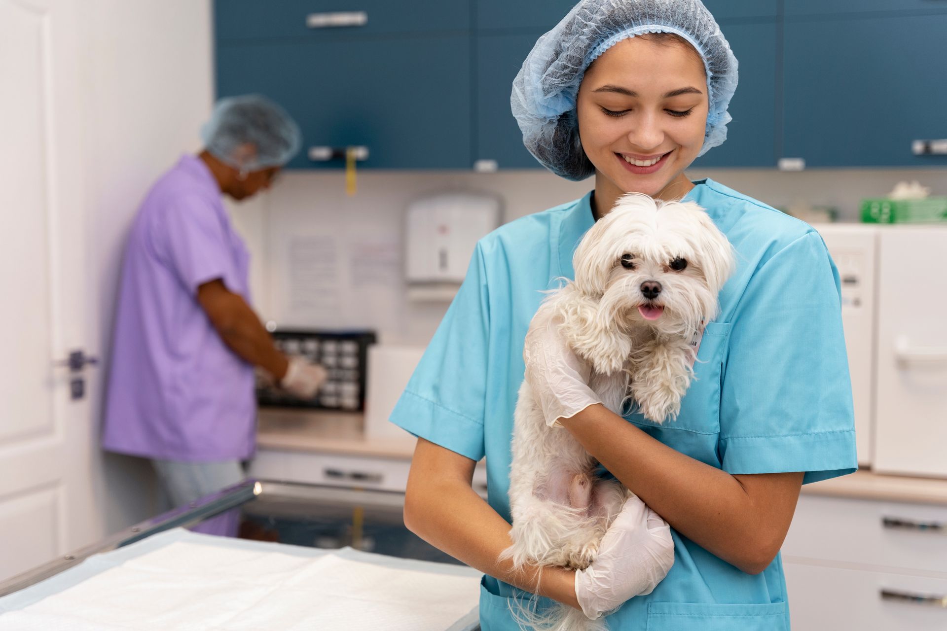 Veterinary staff member in blue scrubs holding a small white dog in a clinic, with another staff member in the background