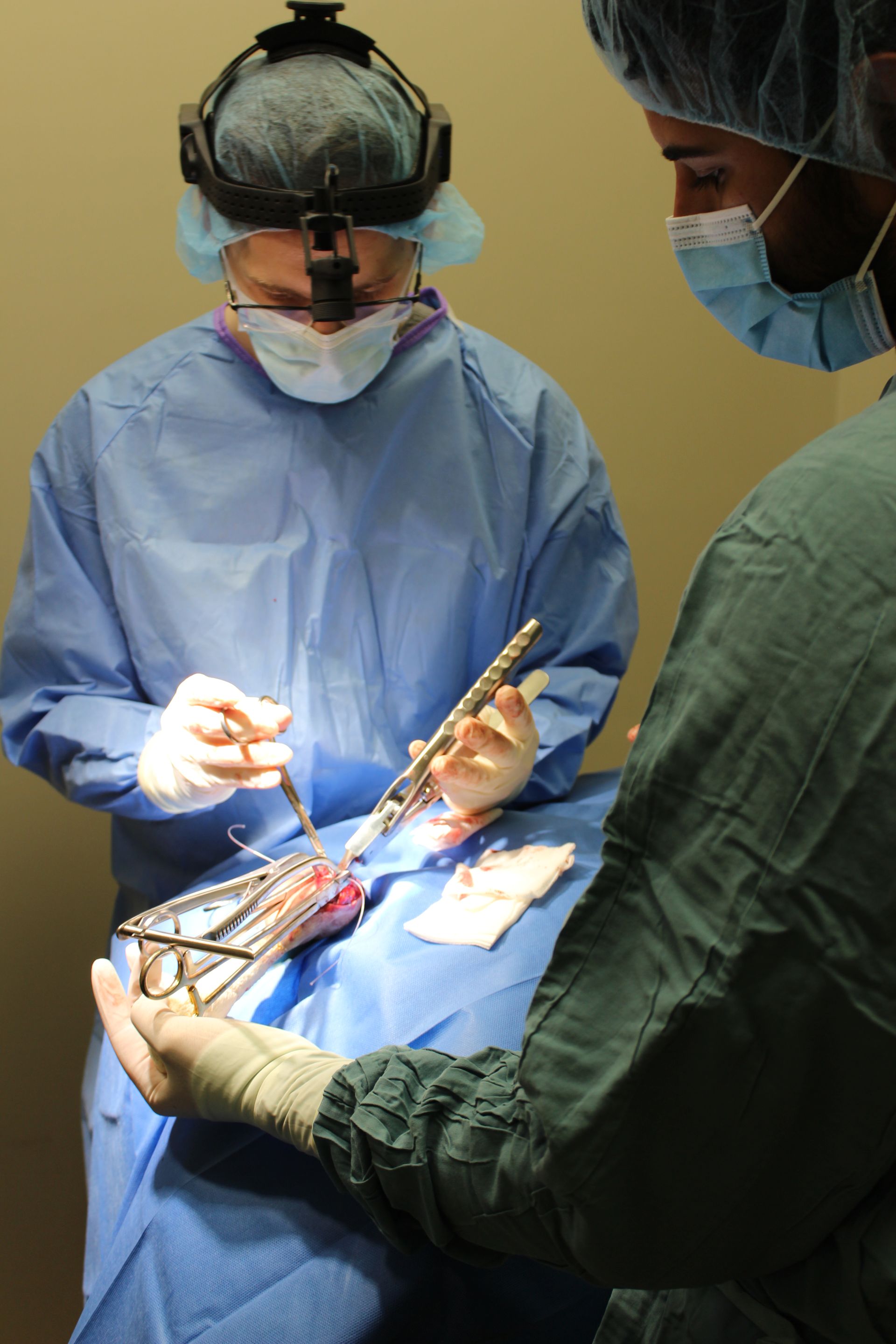 Two surgeons are performing surgery on a patient