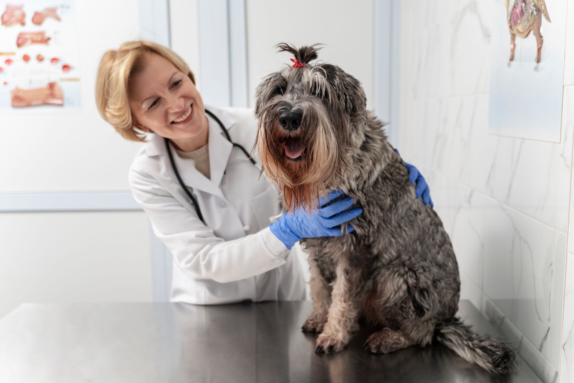 a happy vet with a pet dog