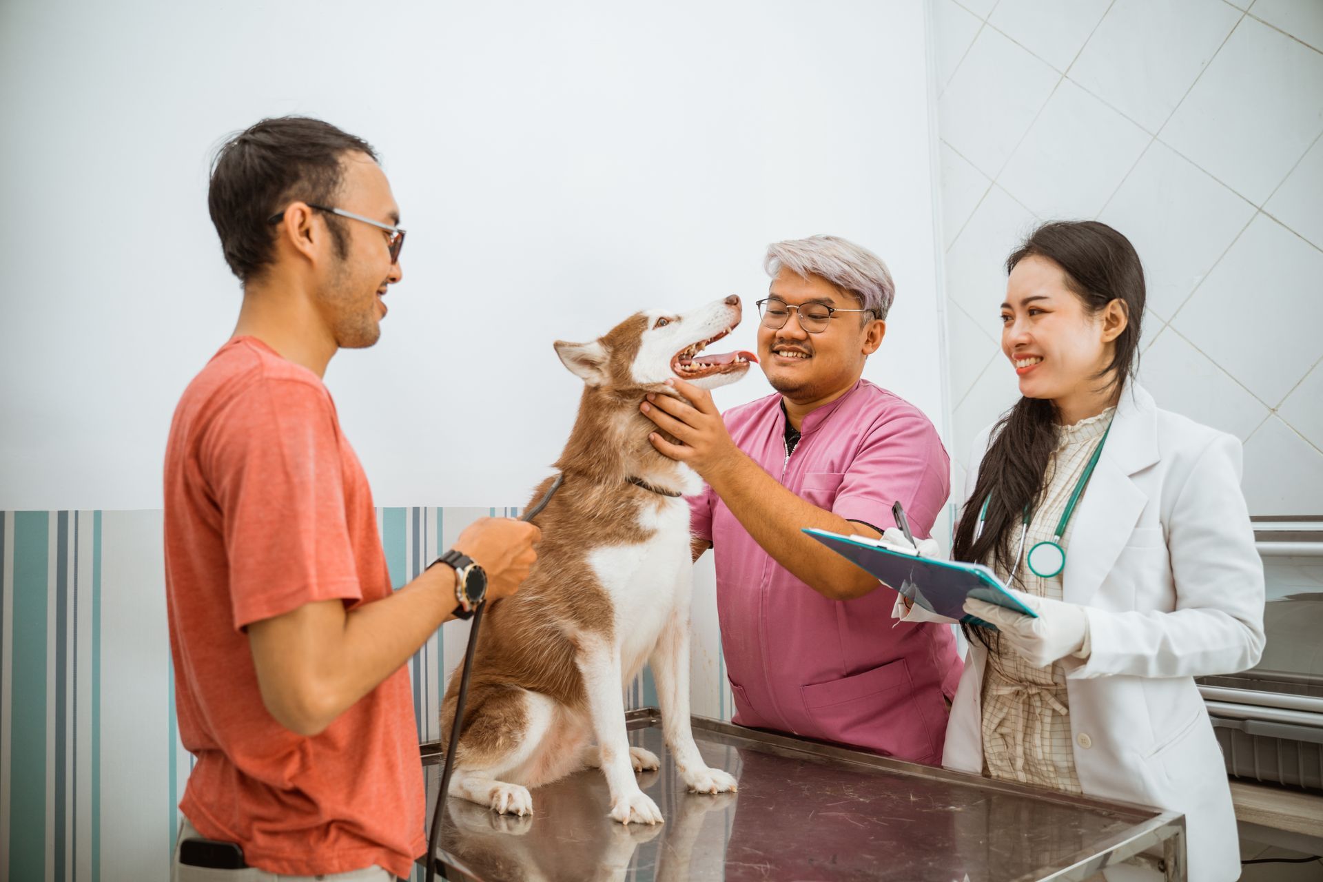 pet dog at a vet clinic