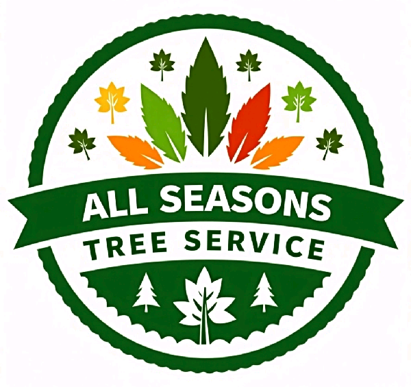 Logo for "All Season Tree Care" with three stylized trees and a phone number.
