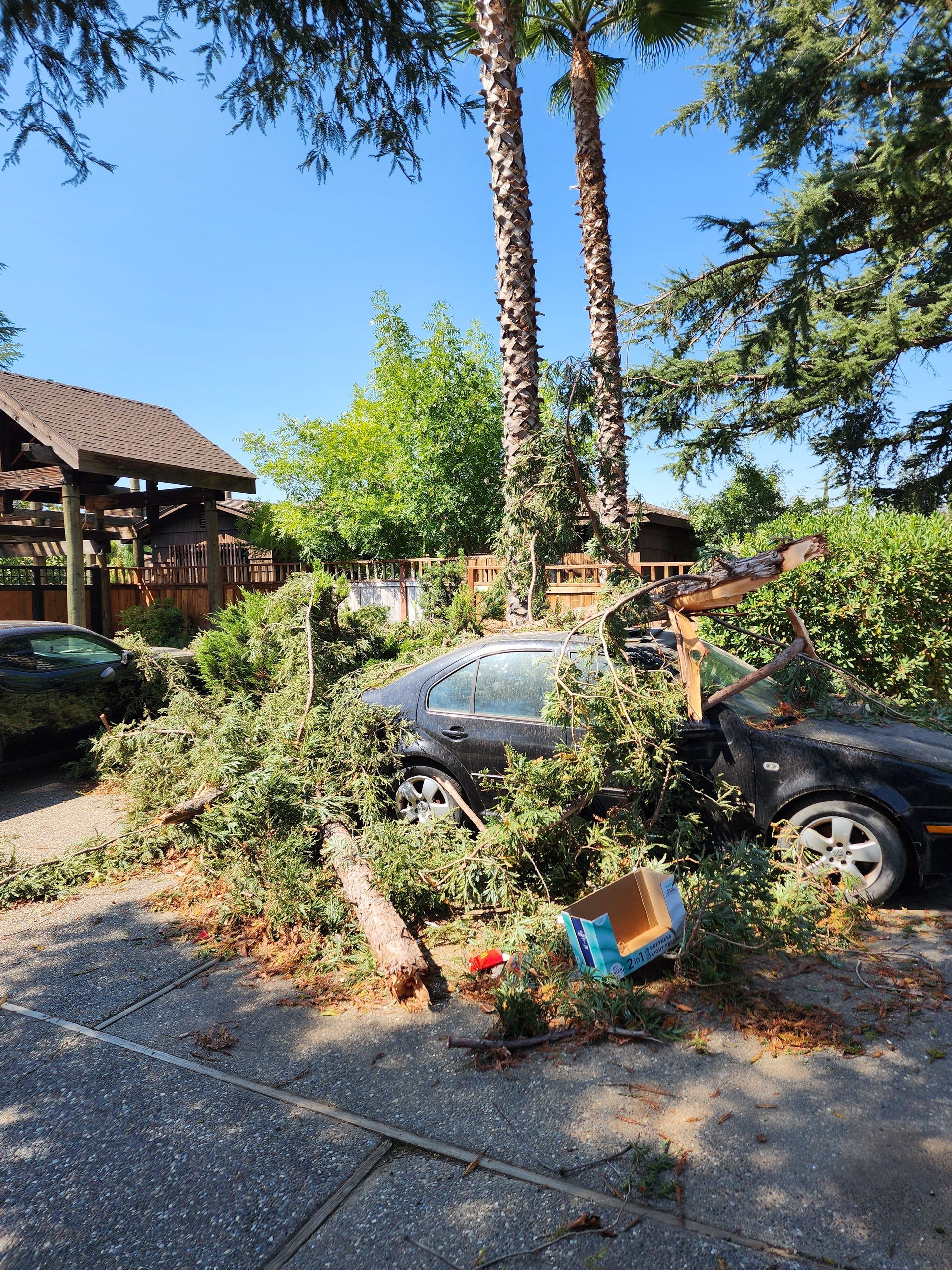 Fallen tree in a yard, roots exposed, near a yellow house. Green picnic table visible, autumn leaves on the ground.