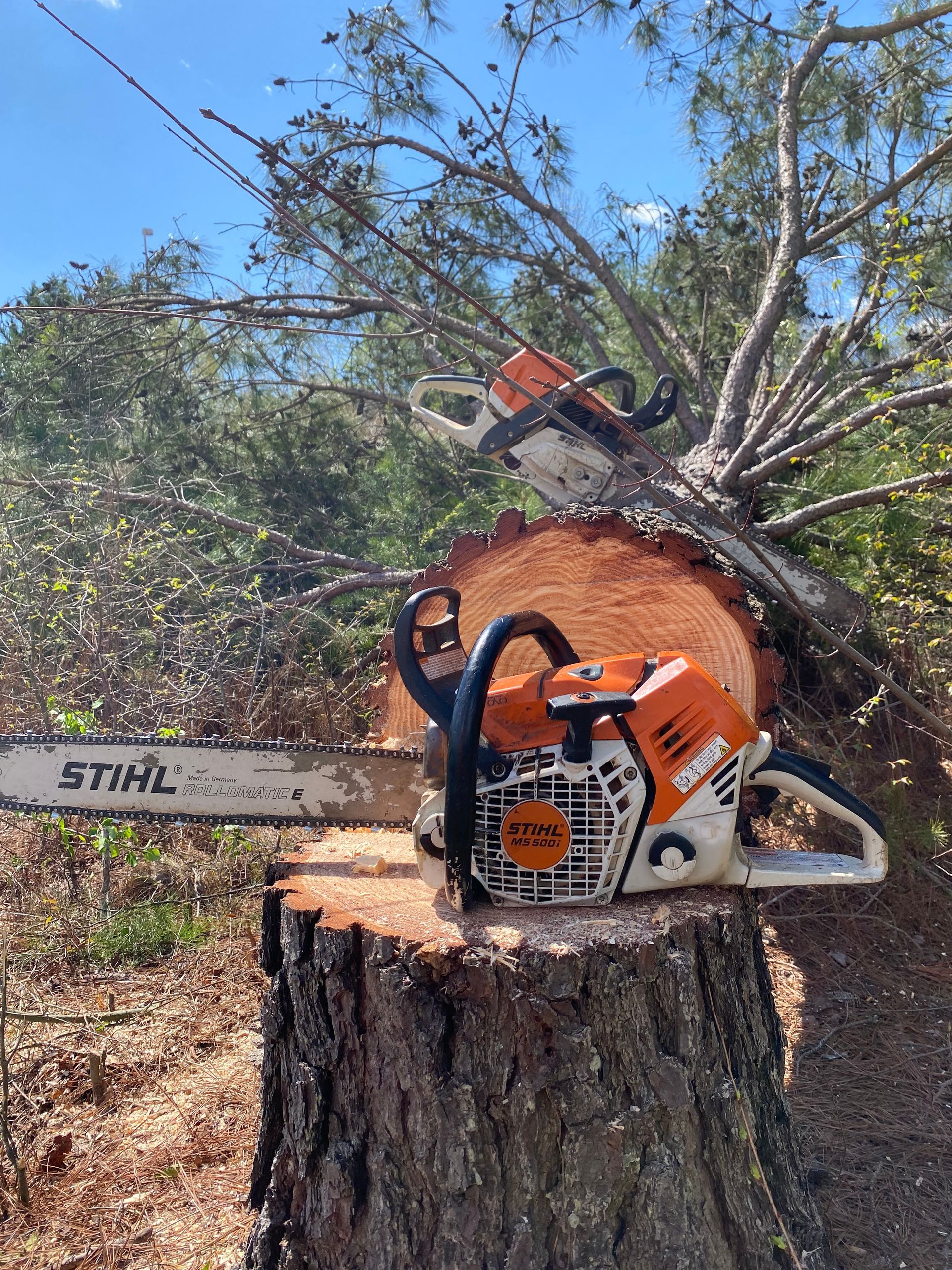 A chainsaw is sitting on top of a tree stump.