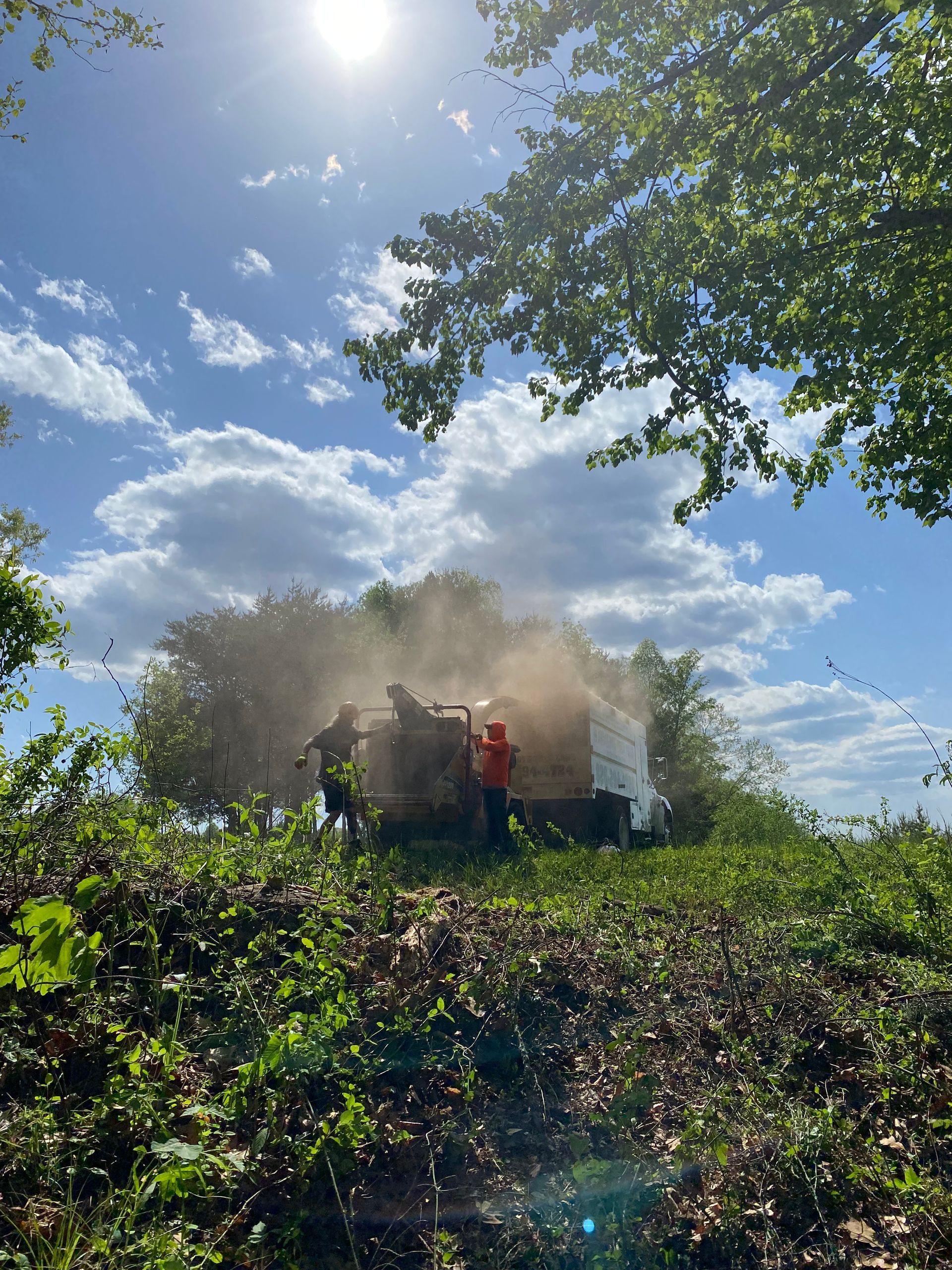 A group of people are standing in a field next to a truck.