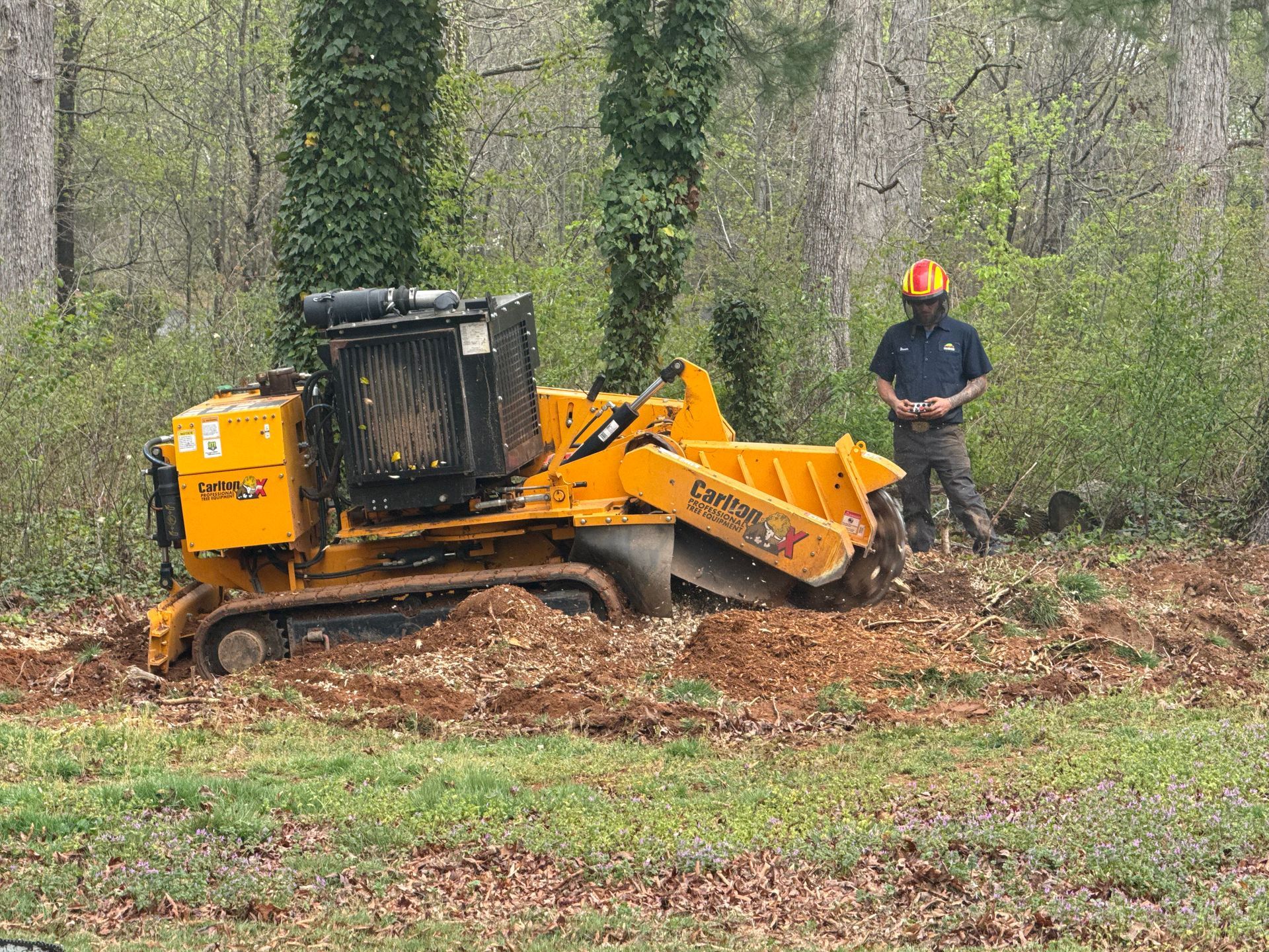 A man is standing next to a yellow stump grinder in a field.
