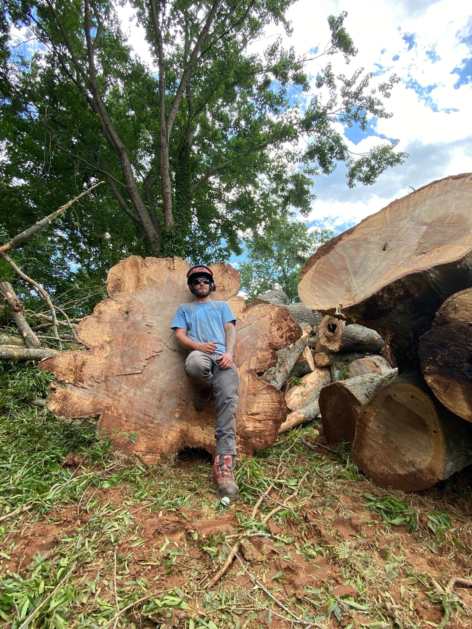 A man is sitting on top of a large tree stump.