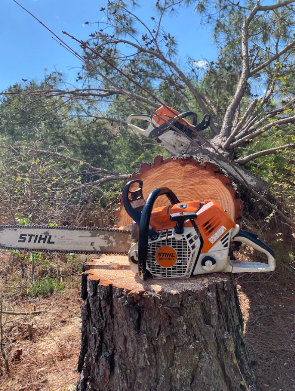 A stihl chainsaw is sitting on top of a tree stump.